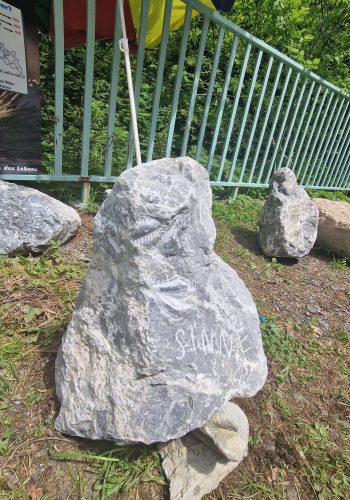 Foto 09.12.25, 19 28 12 (1)